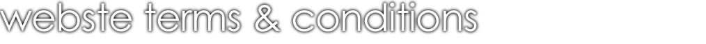 Website Terms and Conditions