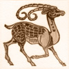 Animals on Plain Background - Antelope