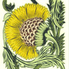William De Morgan: Yellow Floral - BBB