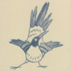 Philip Webb: Magpie